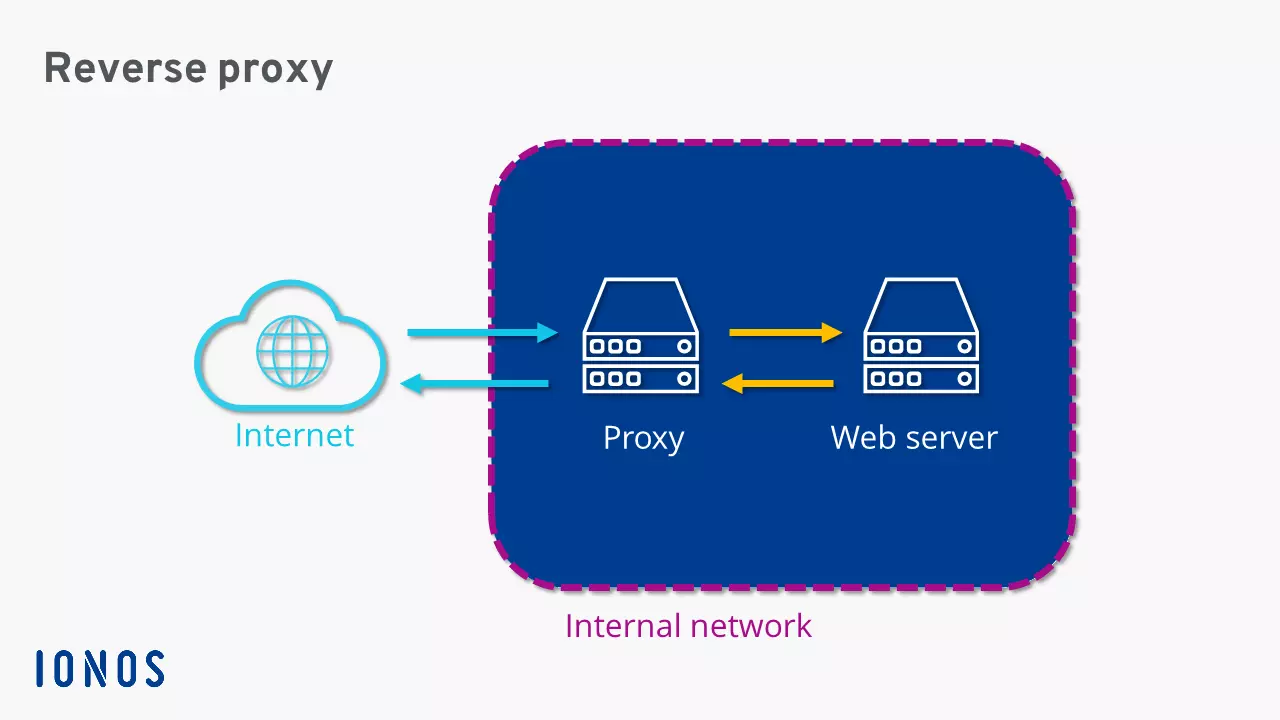 Schematic representation of a reverse proxy