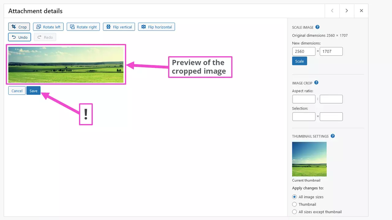 Save resized image to WordPress library