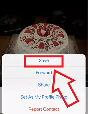 iPhone screenshot of ‘Save’ option after selecting a WhatsApp photo