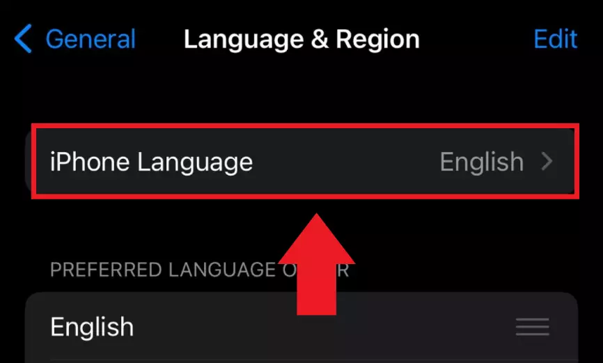 The iOS menu item ‘iPhone Language’ with the currently selected system language