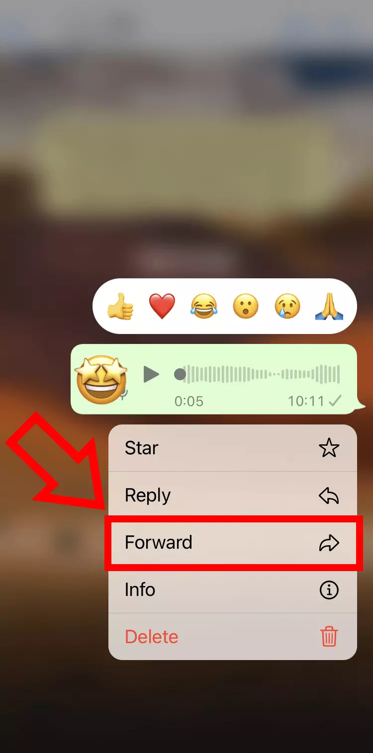 iPhone screenshot of the ‘Forward’ option in WhatsApp