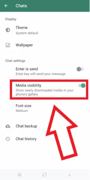 Android screenshot, ‘Media visibility’ enabled