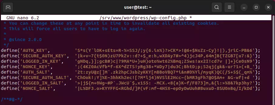 Configuration file wp-config.php with new key entries