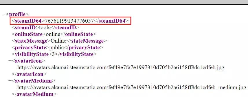 XML file of a Steam profile in a web browser