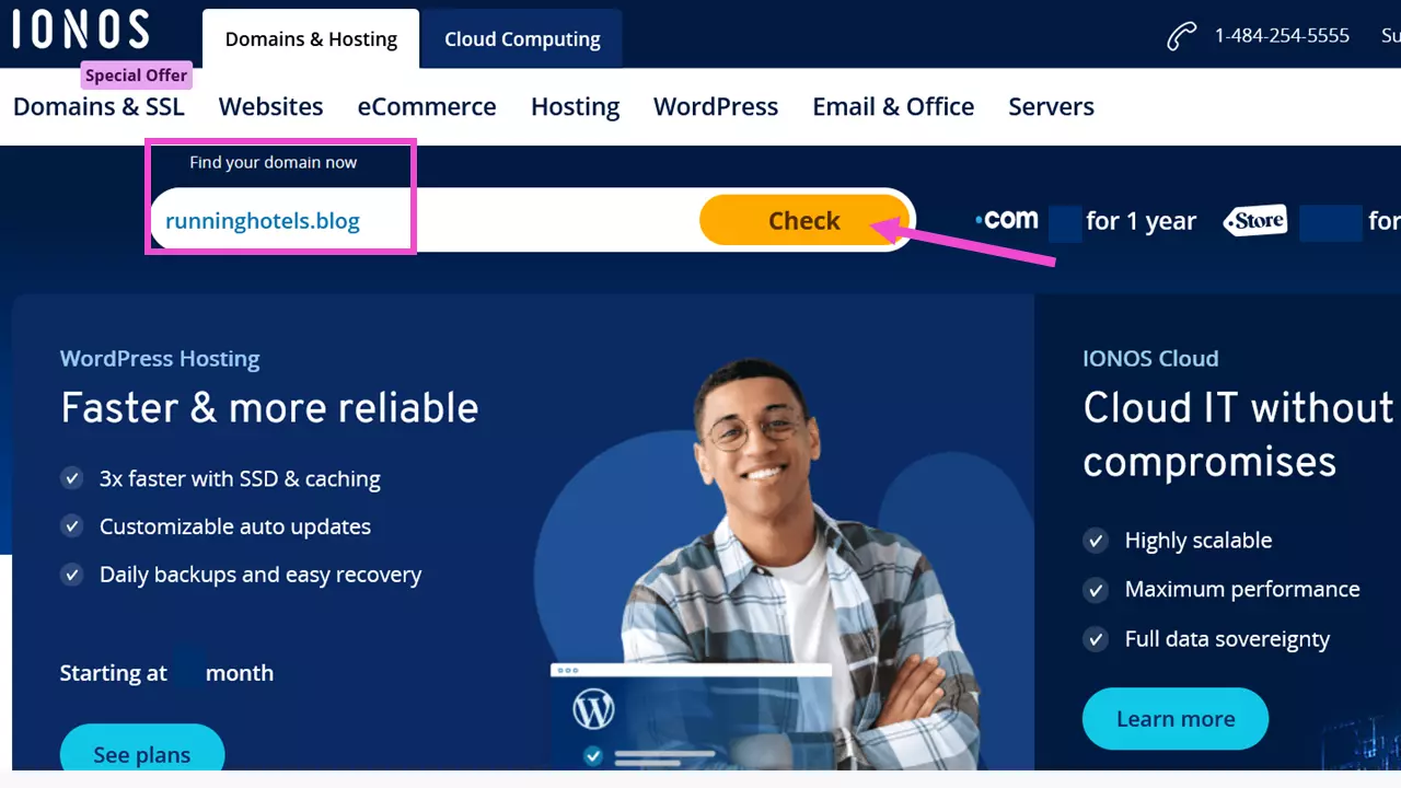 IONOS homepage with domain checker