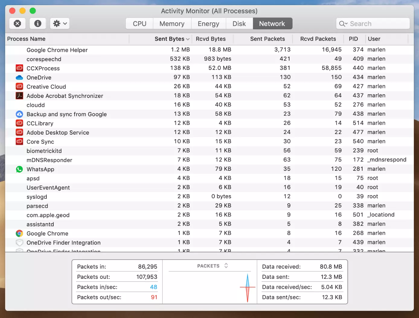 Mac Activity Monitor: “Network” pane