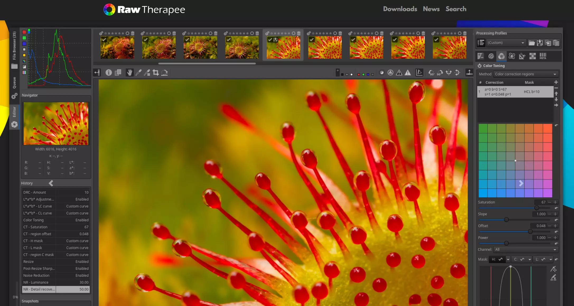 Raw Therapee: Screenshot of the website