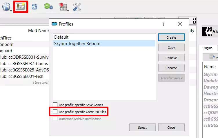 MO2: Set up profile for Skyrim Together server