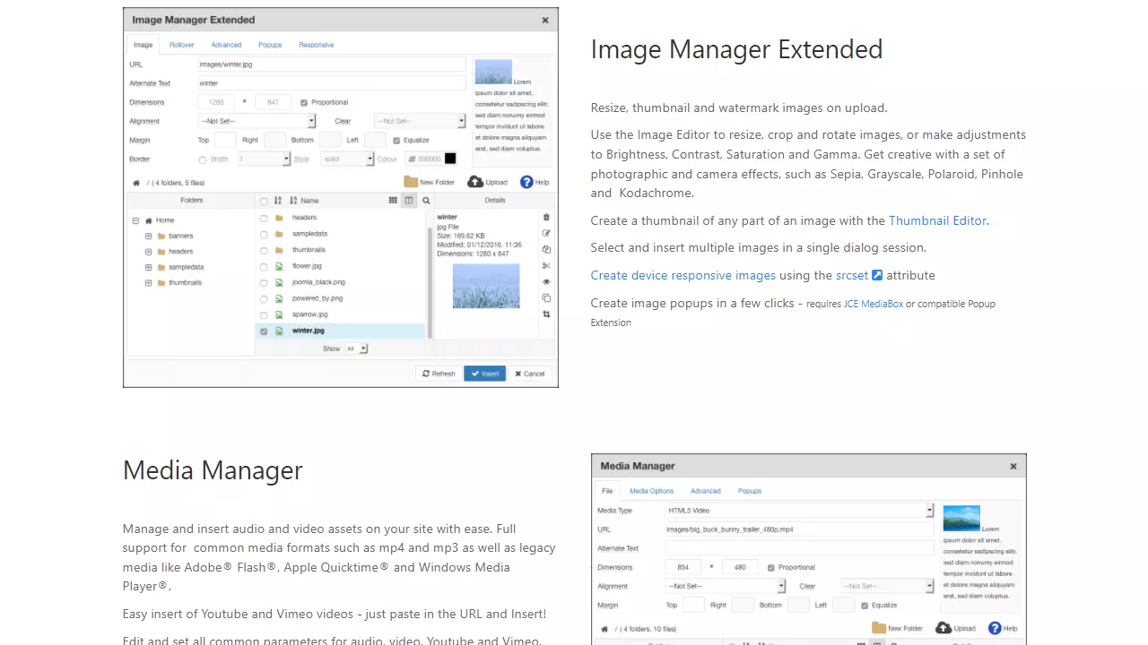 Examples of applications on the Joomla Content Editor from the official website