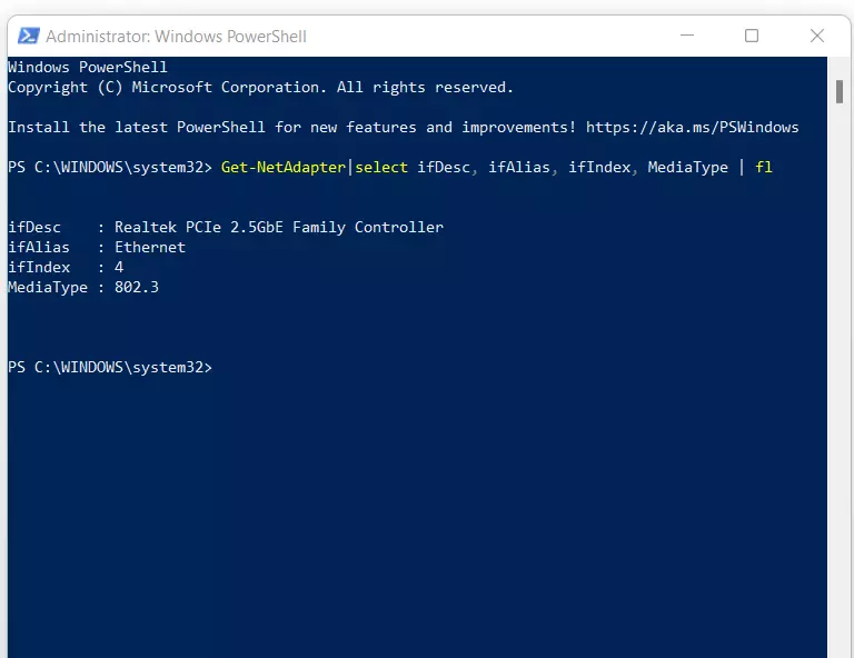 Setting the adapter via PowerShell