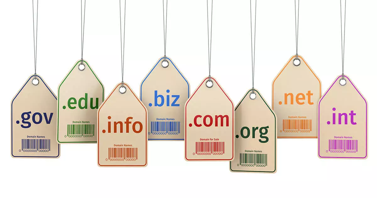 Exclusive new top-level domains: background and examples