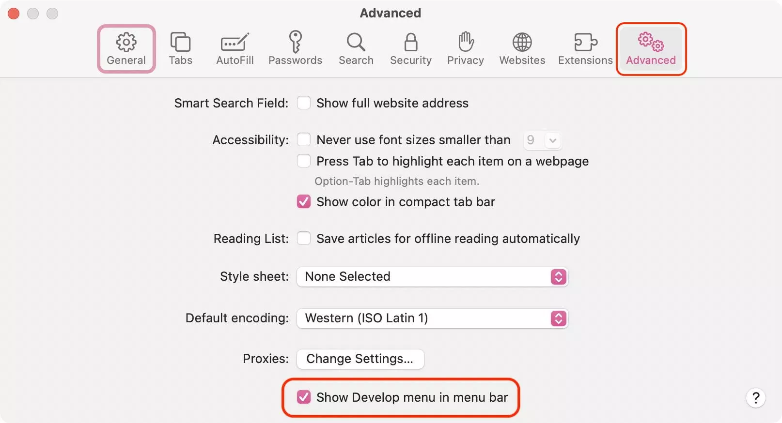 Activated ‘developer’ menu in Safari’s advanced settings