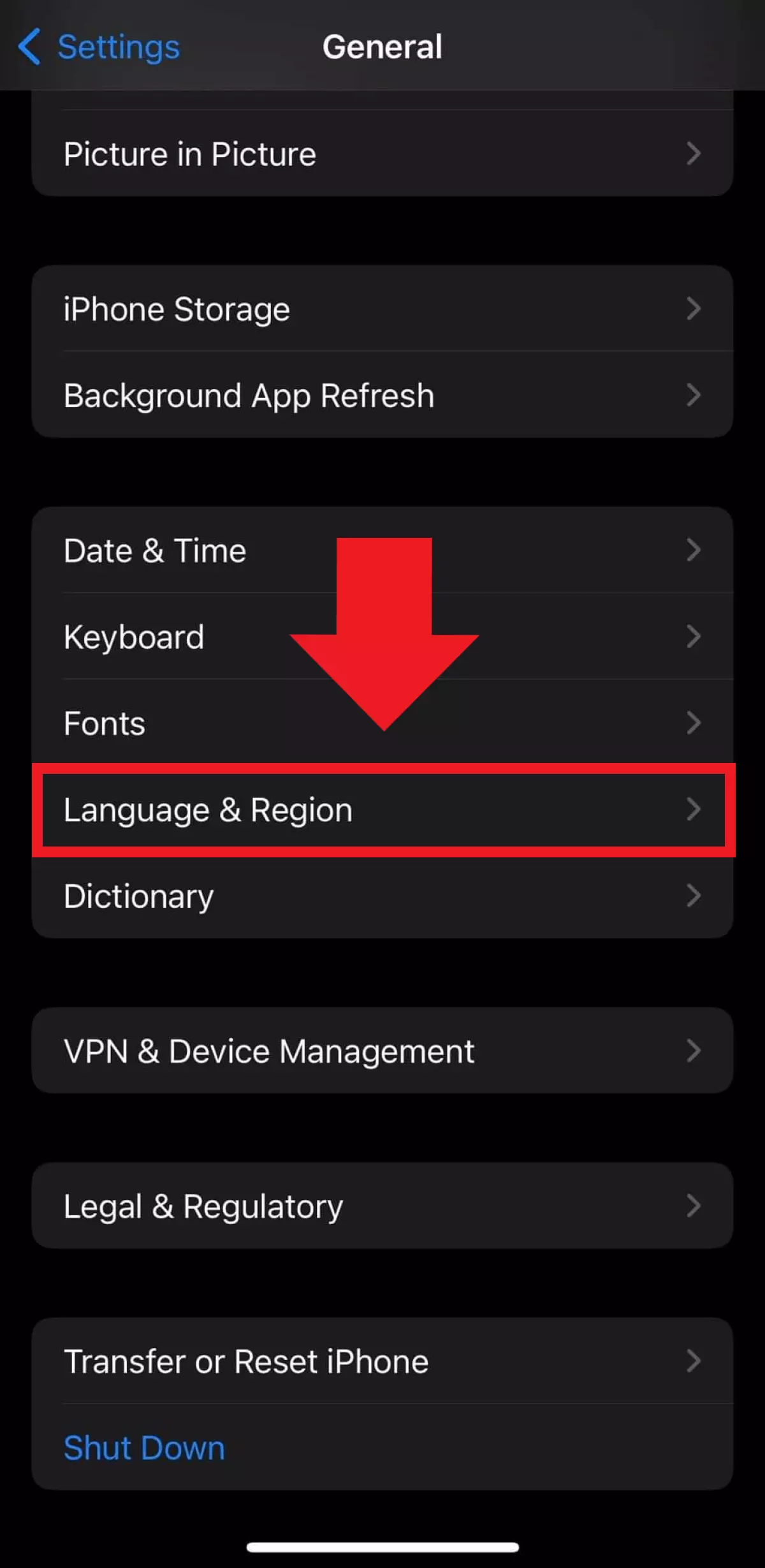 The ‘Language & Region’ item in the iOS settings