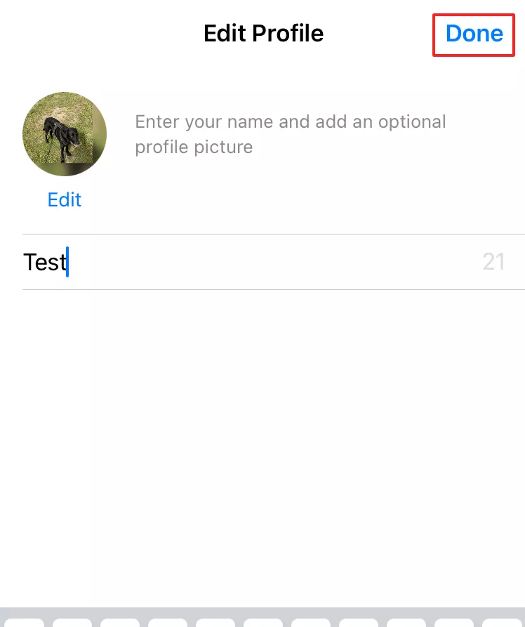 Display of a completed WhatsApp profile