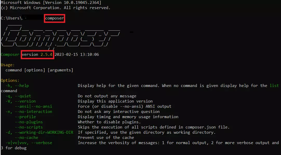 Terminal after entering the command ‘composer’