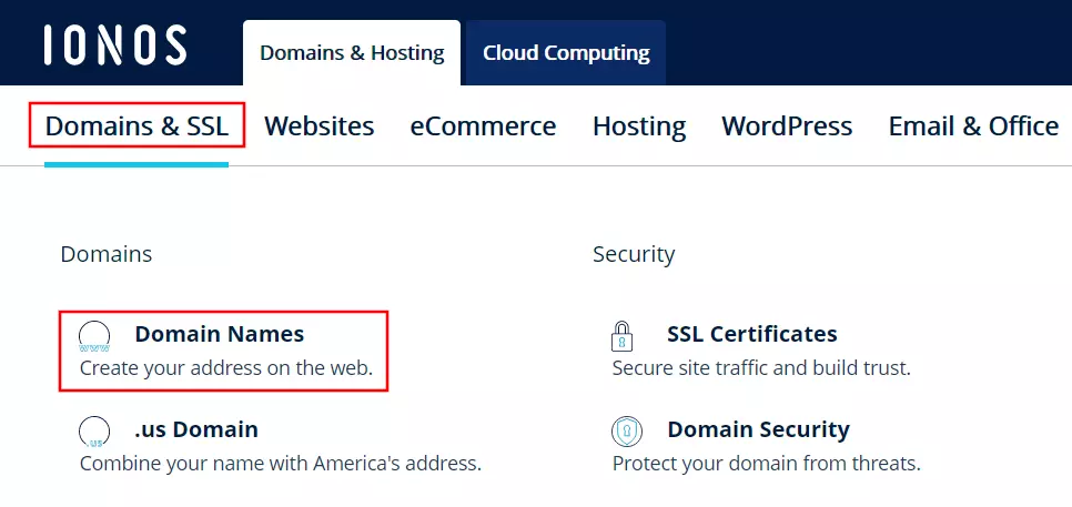 Domain names on IONOS website