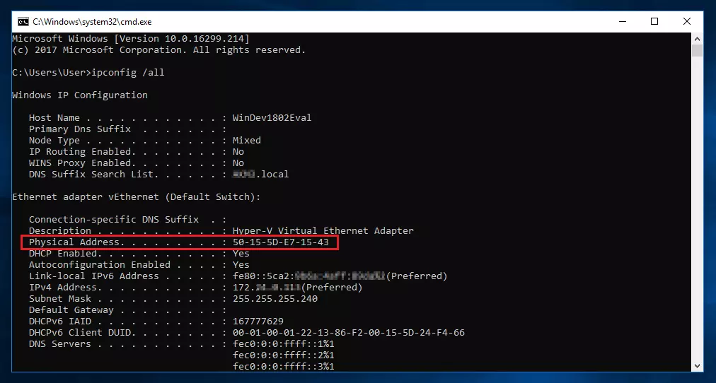 An example of a terminal output after the command “ipconfig /all”