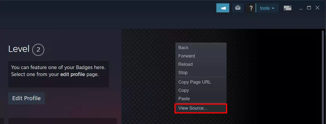 Steam-App: ‘View source code’ in the profile menu