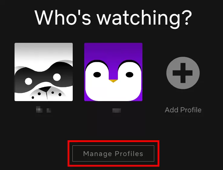 Netflix browser version, with the ‘Manage Profiles’ button at the bottom