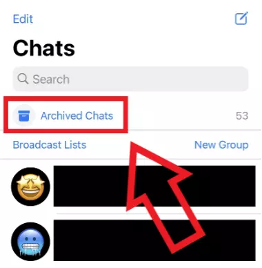 iPhone screenshot of WhatsApp’s 'Archived Chats' option above the chat listing