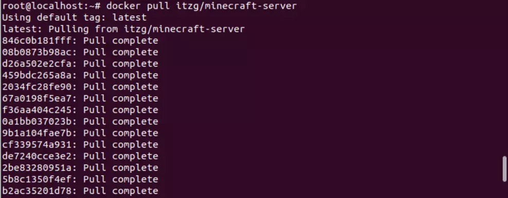 Pulling the Minecraft Docker container via Ubuntu terminal