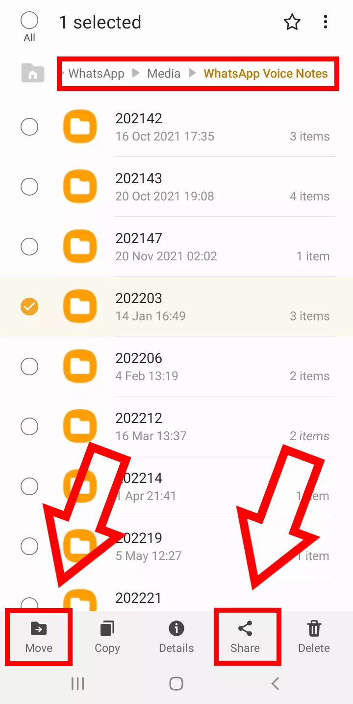 Android screenshot of the ‘WhatsApp Voice Notes’ folder with selected files to move or share