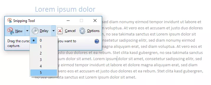 'Delay' function in the Windows 10 Snipping Tool