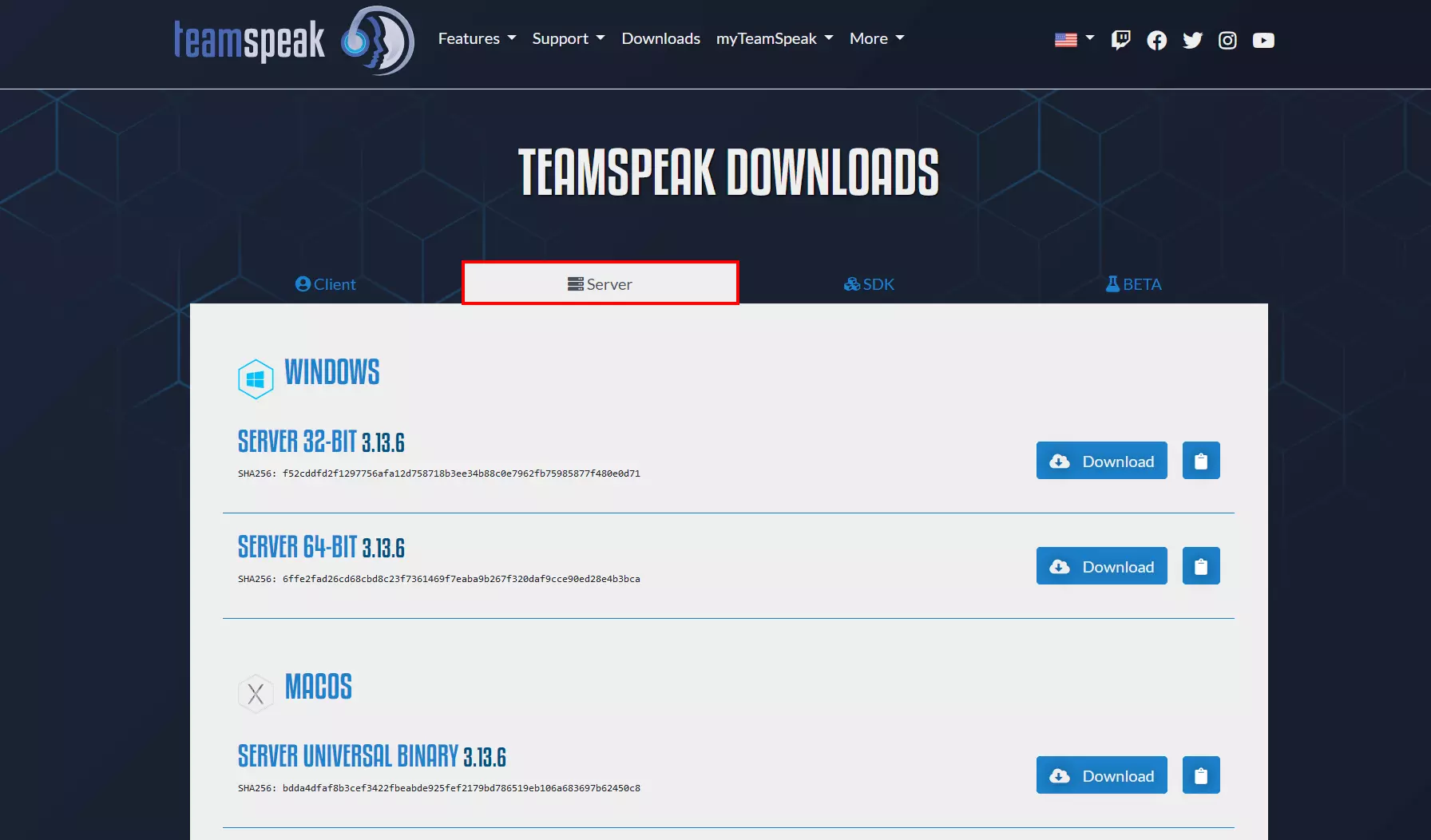 Screenshot of the TeamSpeak download centre