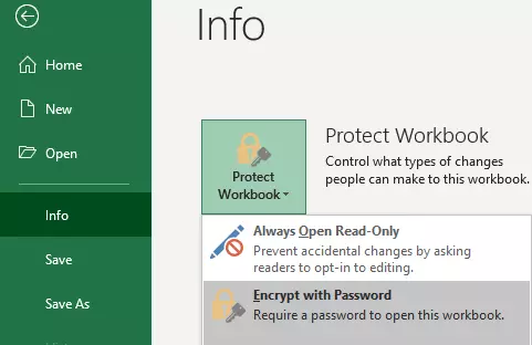 Overview of ‘File’ > ‘Info’ > ‘Protect Workbook’ menu