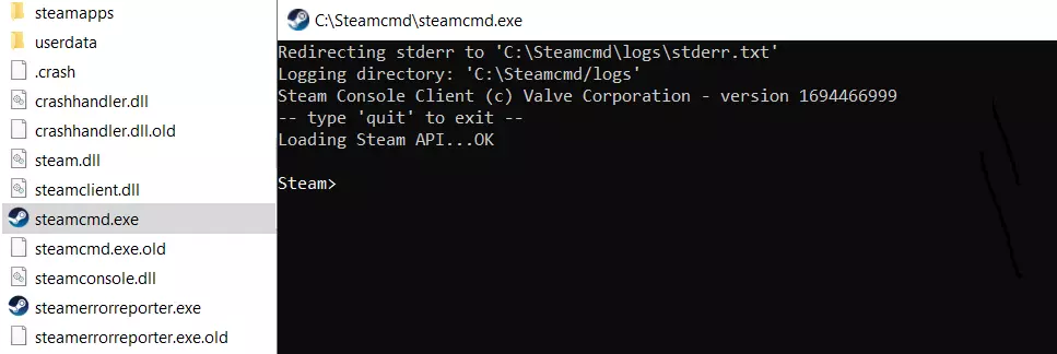 SteamCMD: Directory after installation