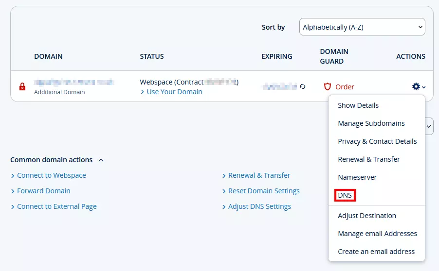 Domains and DNS settings view in a customer account