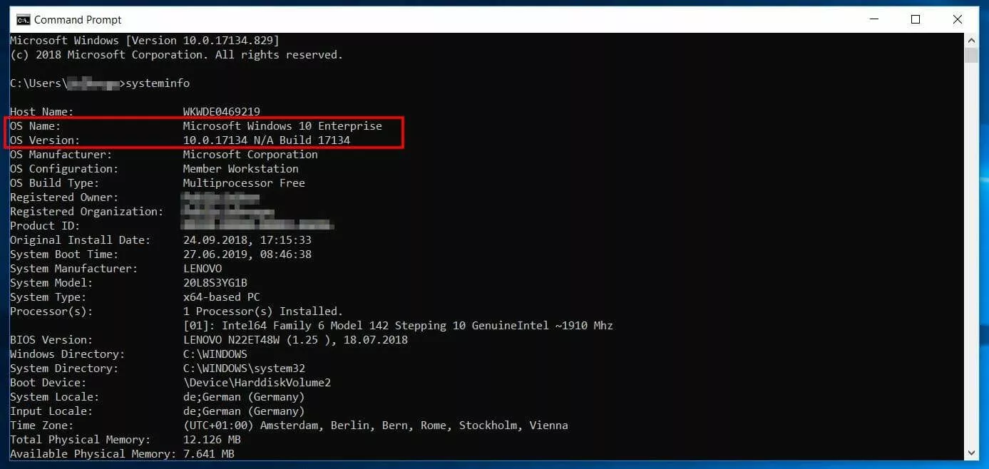 Terminal output of the “systeminfo” command