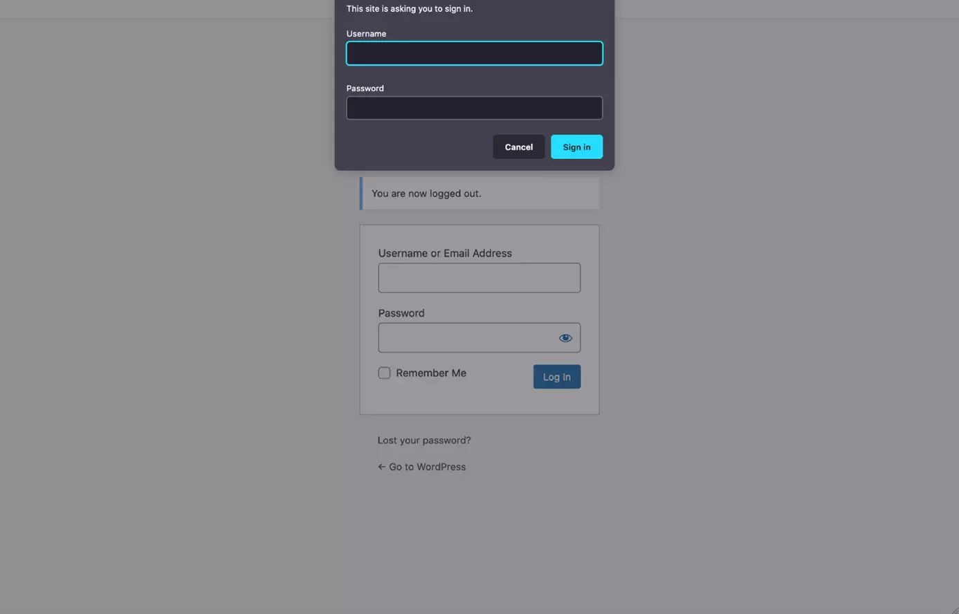 WP admin login page protected with server password